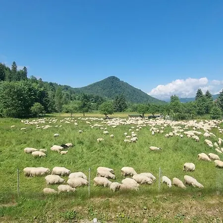 Korona Pienin & *