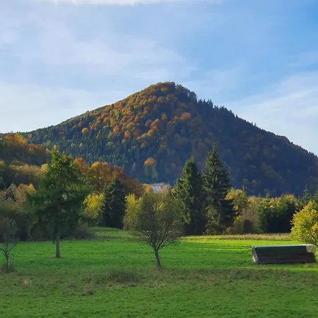 Korona Pienin & Holiday home