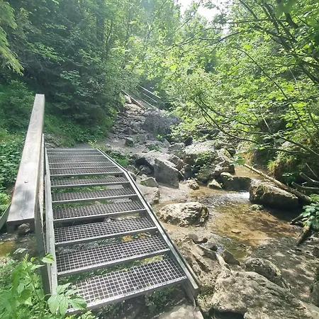 Korona Pienin Domki&apartamenty Szczawnica