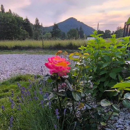 Korona Pienin Domki&apartamenty Dom wakacyjny Szczawnica